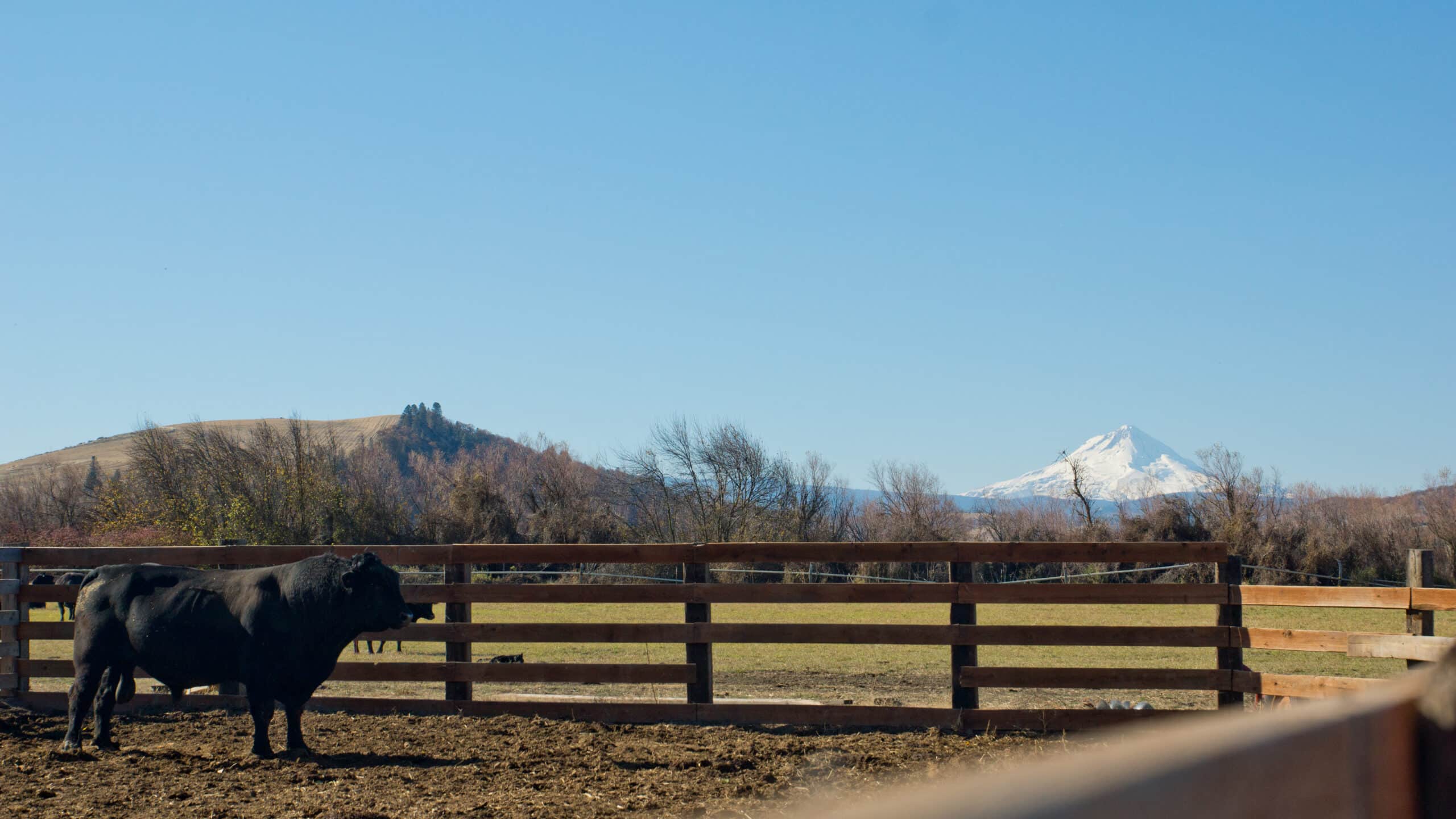 Oregon ranch