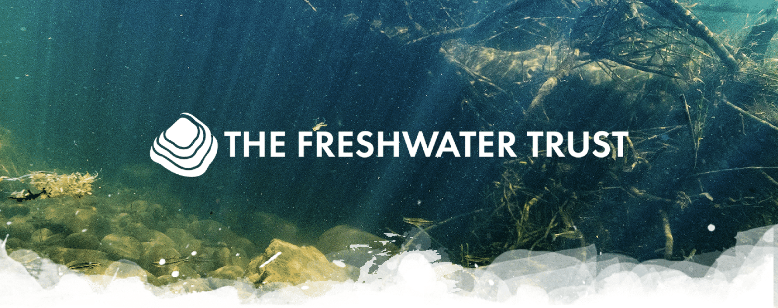10oz TFT Logo Yeti Lowball - The Freshwater TrustThe Freshwater Trust