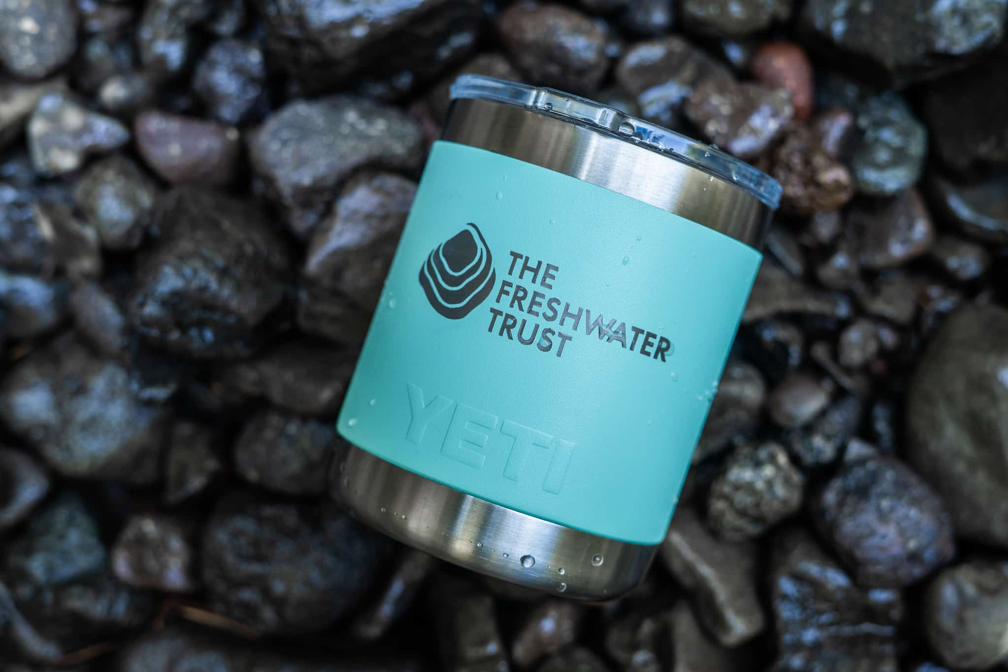 18oz TFT Logo Yeti Rambler Water Bottle - The Freshwater TrustThe  Freshwater Trust