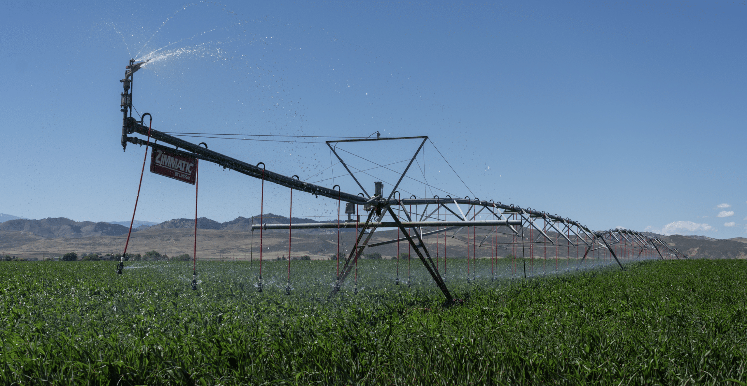 irrigation lines in a field